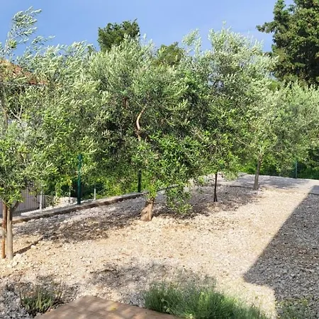 Marija Apartman Sucuraj